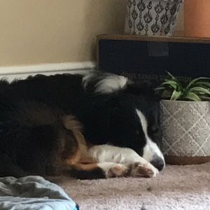 Meet your Posher, Sara